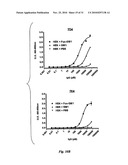 HUMAN MONOCLONAL ANTIBODIES TO FUCOSYL-GM1 AND METHODS FOR USING ANTI-FUCOSYL-GM1 diagram and image