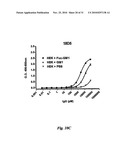 HUMAN MONOCLONAL ANTIBODIES TO FUCOSYL-GM1 AND METHODS FOR USING ANTI-FUCOSYL-GM1 diagram and image