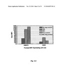 HUMAN MONOCLONAL ANTIBODIES TO FUCOSYL-GM1 AND METHODS FOR USING ANTI-FUCOSYL-GM1 diagram and image