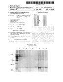 Binding molecules for treatment and detection of cancer diagram and image