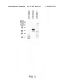 Binding molecules for treatment and detection of cancer diagram and image