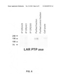 Binding molecules for treatment and detection of cancer diagram and image