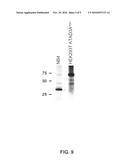 Binding molecules for treatment and detection of cancer diagram and image