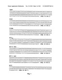 LENTIVIRAL GENE TRANSFER VECTORS AND THEIR MEDICINAL APPLICATIONS diagram and image