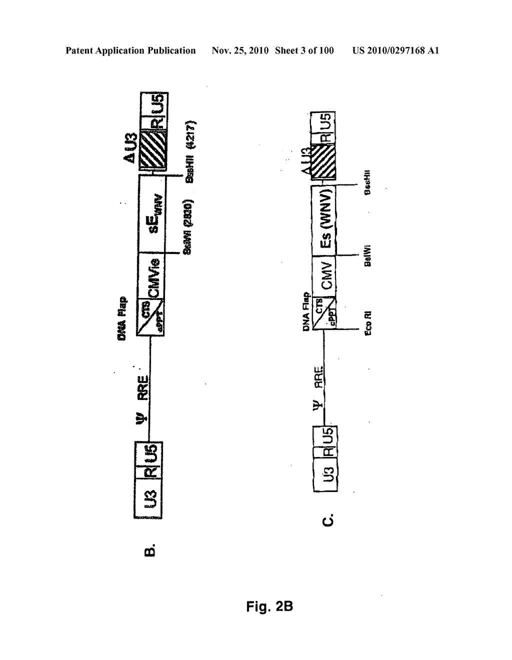 LENTIVIRAL GENE TRANSFER VECTORS AND THEIR MEDICINAL APPLICATIONS - diagram, schematic, and image 04