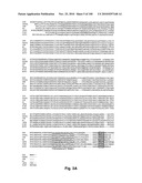 LENTIVIRAL GENE TRANSFER VECTORS AND THEIR MEDICINAL APPLICATIONS diagram and image