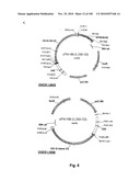 LENTIVIRAL GENE TRANSFER VECTORS AND THEIR MEDICINAL APPLICATIONS diagram and image