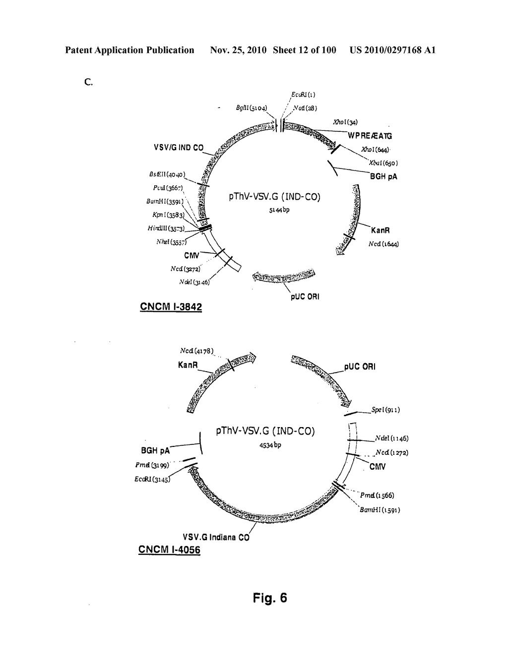 LENTIVIRAL GENE TRANSFER VECTORS AND THEIR MEDICINAL APPLICATIONS - diagram, schematic, and image 13