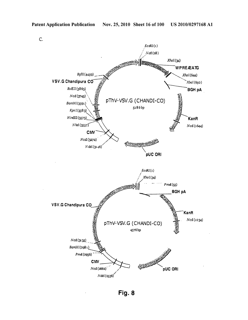 LENTIVIRAL GENE TRANSFER VECTORS AND THEIR MEDICINAL APPLICATIONS - diagram, schematic, and image 17