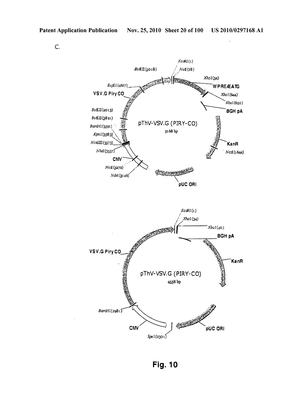 LENTIVIRAL GENE TRANSFER VECTORS AND THEIR MEDICINAL APPLICATIONS - diagram, schematic, and image 21