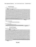 LENTIVIRAL GENE TRANSFER VECTORS AND THEIR MEDICINAL APPLICATIONS diagram and image