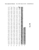 LENTIVIRAL GENE TRANSFER VECTORS AND THEIR MEDICINAL APPLICATIONS diagram and image