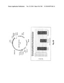 LENTIVIRAL GENE TRANSFER VECTORS AND THEIR MEDICINAL APPLICATIONS diagram and image