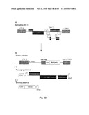 LENTIVIRAL GENE TRANSFER VECTORS AND THEIR MEDICINAL APPLICATIONS diagram and image