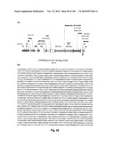 LENTIVIRAL GENE TRANSFER VECTORS AND THEIR MEDICINAL APPLICATIONS diagram and image