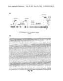 LENTIVIRAL GENE TRANSFER VECTORS AND THEIR MEDICINAL APPLICATIONS diagram and image