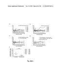 LENTIVIRAL GENE TRANSFER VECTORS AND THEIR MEDICINAL APPLICATIONS diagram and image