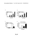 LENTIVIRAL GENE TRANSFER VECTORS AND THEIR MEDICINAL APPLICATIONS diagram and image