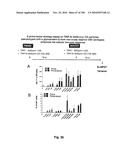 LENTIVIRAL GENE TRANSFER VECTORS AND THEIR MEDICINAL APPLICATIONS diagram and image