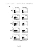 LENTIVIRAL GENE TRANSFER VECTORS AND THEIR MEDICINAL APPLICATIONS diagram and image