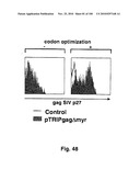 LENTIVIRAL GENE TRANSFER VECTORS AND THEIR MEDICINAL APPLICATIONS diagram and image