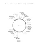 DEVELOPMENT OF A PREVENTIVE VACCINE FOR FILOVIRUS INFECTION IN PRIMATES diagram and image