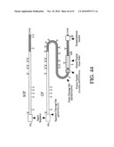 DEVELOPMENT OF A PREVENTIVE VACCINE FOR FILOVIRUS INFECTION IN PRIMATES diagram and image