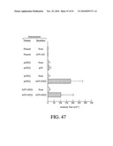 DEVELOPMENT OF A PREVENTIVE VACCINE FOR FILOVIRUS INFECTION IN PRIMATES diagram and image