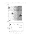 LDL-LIKE CATIONIC NANOPARTICLES FOR DELIVERYING NUCLEIC ACID GENE, METHOD FOR PREPARING THEREOF AND METHOD FOR DELIVERYING NUCLEIC ACID GENE USING THE SAME diagram and image