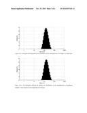 NANODISPERSION diagram and image