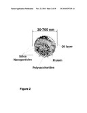 METHODS AND COMPOSITIONS FOR ORAL ADMINISTRATION OF PROTEIN AND PEPTIDE THERAPEUTIC AGENTS diagram and image