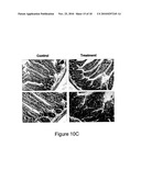 METHODS AND COMPOSITIONS FOR ORAL ADMINISTRATION OF PROTEIN AND PEPTIDE THERAPEUTIC AGENTS diagram and image