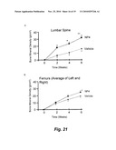 SILICA-BASED NANOPARTICLES AND METHODS OF STIMULATING BONE FORMATION AND SUPPRESSING BONE RESORPTIOIN THROUGH MODULATION OF NF-KB diagram and image