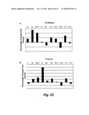 SILICA-BASED NANOPARTICLES AND METHODS OF STIMULATING BONE FORMATION AND SUPPRESSING BONE RESORPTIOIN THROUGH MODULATION OF NF-KB diagram and image