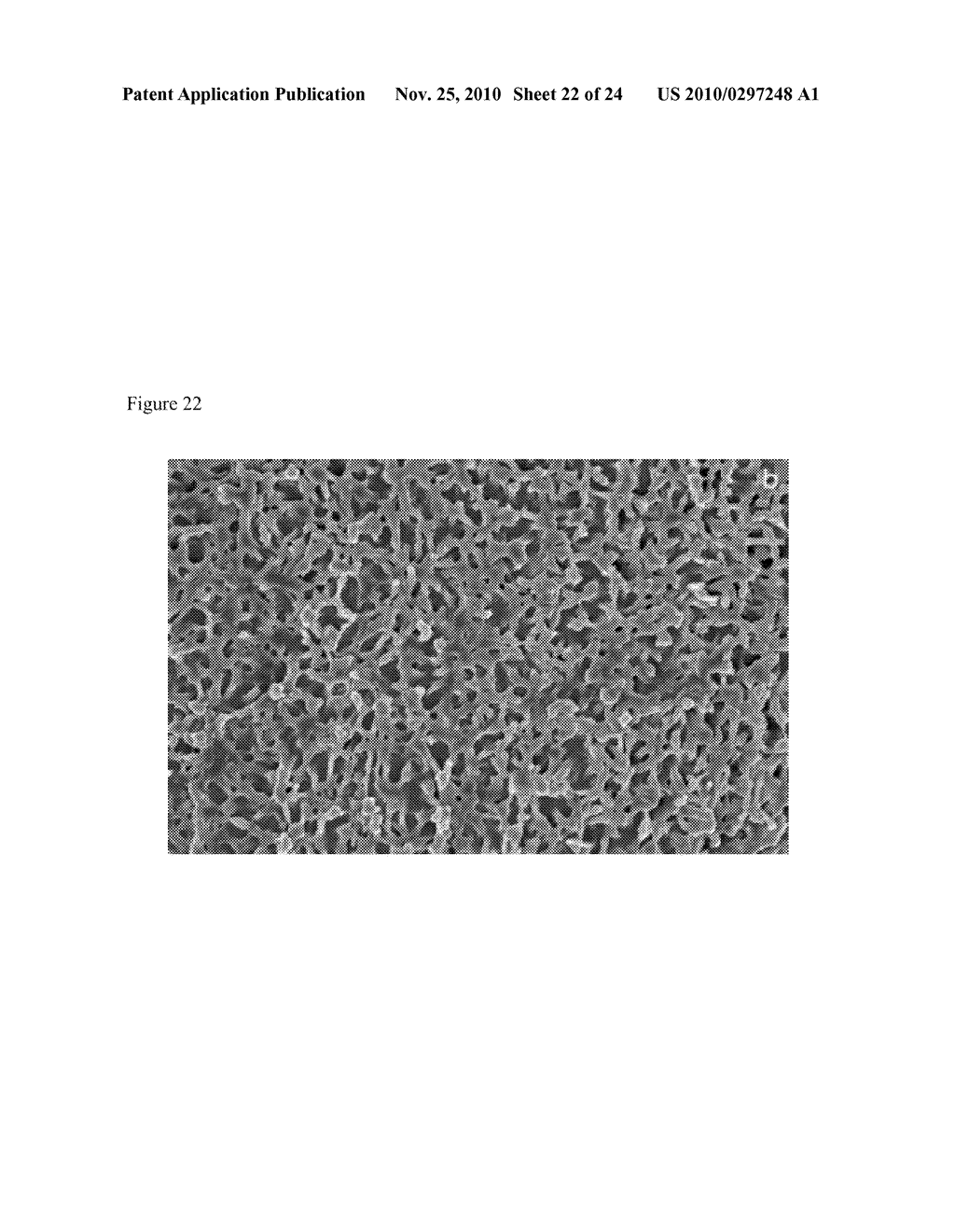 ENCAPSULATED PARTICLES FOR AMORPHOUS STABILITY ENHANCEMENT - diagram, schematic, and image 23