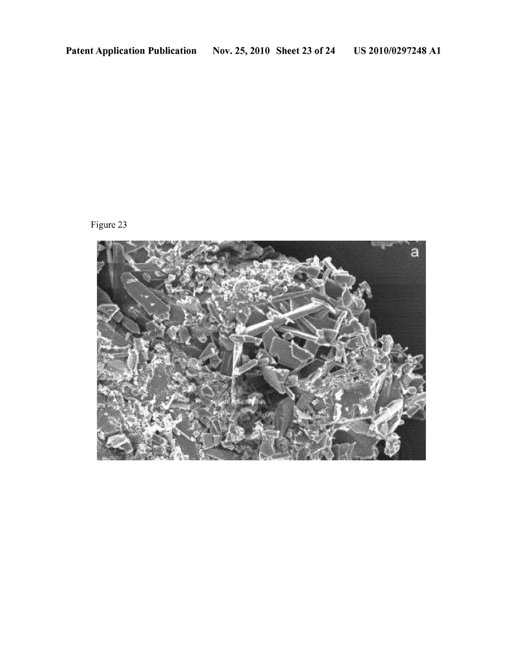 ENCAPSULATED PARTICLES FOR AMORPHOUS STABILITY ENHANCEMENT - diagram, schematic, and image 24