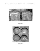 EMULSIFIED WAX COMPOSITIONS AND USES THEREOF diagram and image