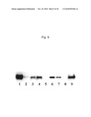 IgG BINDING PEPTIDE diagram and image