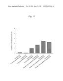 IgG BINDING PEPTIDE diagram and image