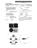Involvement of Lipid Kinase, and Signal Transduction Pathway Comprising Said Lipid Kinase, in Resistance to HER2-Targeting Therapy diagram and image