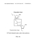 Reagents, Methods, and Libraries for Bead-Based Sequencing diagram and image