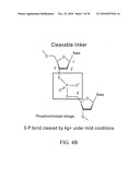 Reagents, Methods, and Libraries for Bead-Based Sequencing diagram and image