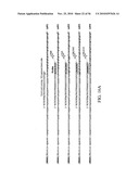 Reagents, Methods, and Libraries for Bead-Based Sequencing diagram and image