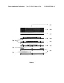 HAND HELD MICRO PCR DEVICE diagram and image