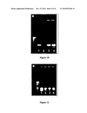 HAND HELD MICRO PCR DEVICE diagram and image