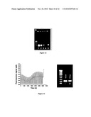 HAND HELD MICRO PCR DEVICE diagram and image