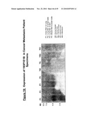 NUCLEIC ACID AND CORRESPONDING PROTEIN ENTITLED 193P1E1B USEFUL IN TREATMENT AND DETECTION OF CANCER diagram and image