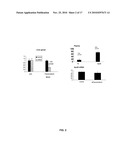 METHODS AND COMPOSITIONS FOR UPREGULATION OF PEROXIREDOXIN ACTIVITY diagram and image