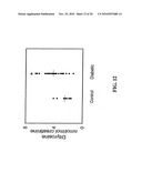 METHODS FOR ASSESSING THE RISK FOR DEVELOPMENT OF CARDIOVASCULAR DISEASE diagram and image