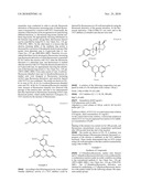 FLUORESCENT PROBE FOR MEASUREMENT OF GLUCURONATE TRANSFERASE diagram and image